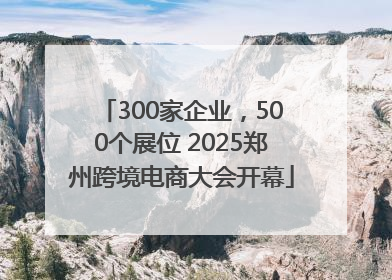 300家企业，500个展位 2025郑州跨境电商大会开幕