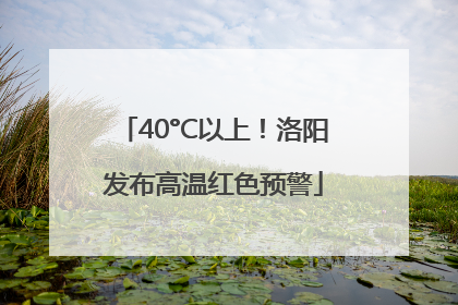 40°C以上！洛阳发布高温红色预警