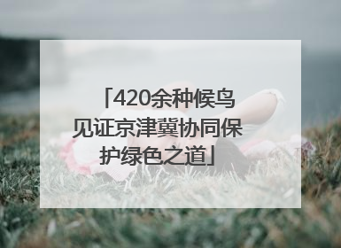 420余种候鸟见证京津冀协同保护绿色之道