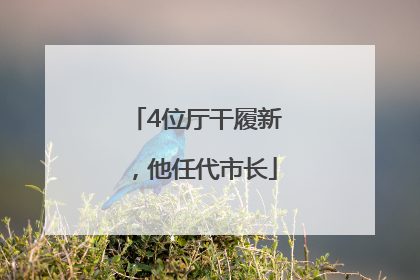 4位厅干履新，他任代市长