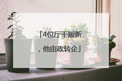 4位厅干履新，他由政转企