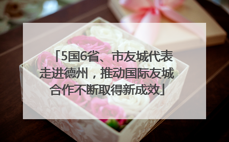 5国6省、市友城代表走进德州，推动国际友城合作不断取得新成效