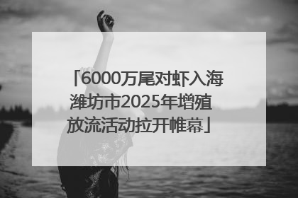 6000万尾对虾入海 潍坊市2025年增殖放流活动拉开帷幕