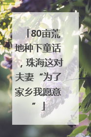 80亩荒地种下童话，珠海这对夫妻“为了家乡我愿意”