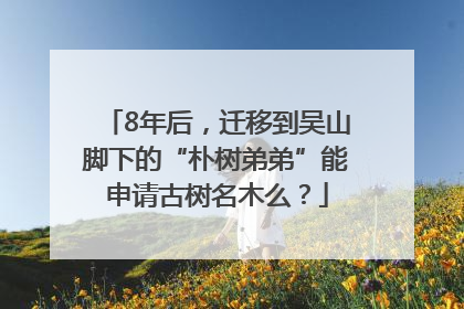 8年后，迁移到吴山脚下的“朴树弟弟”能申请古树名木么？