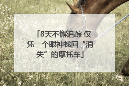 8天不懈追踪 仅凭一个眼神找回“消失”的摩托车