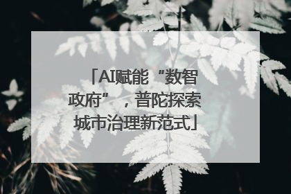 AI赋能“数智政府”，普陀探索城市治理新范式
