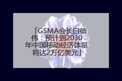 GSMA会长白德伟：预计到2030年中国移动经济体量将达2万亿美元