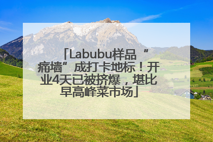 Labubu样品“痛墙”成打卡地标！开业4天已被挤爆，堪比早高峰菜市场